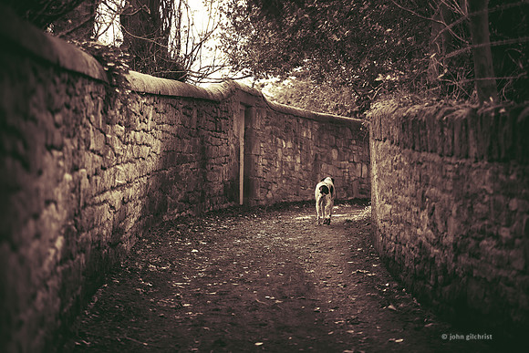 Edinburgh Photography Services, John Gilchrist, Midlothian Photos Lasswade 20-0092
