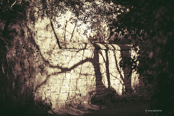 Edinburgh Photography Services, John Gilchrist, Midlothian Photos Lasswade 20-0095