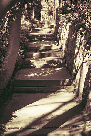 Edinburgh Photography Services, John Gilchrist, Midlothian Photos Lasswade 20-0100