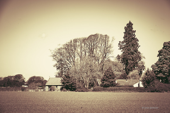 Edinburgh Photography Services, John Gilchrist, Midlothian Photos Lasswade 20-0546