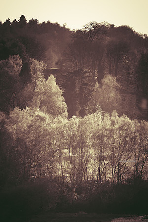 Edinburgh Photography Services, Midlothian - John Gilchrist, Mavisbank House Photo 20-0002