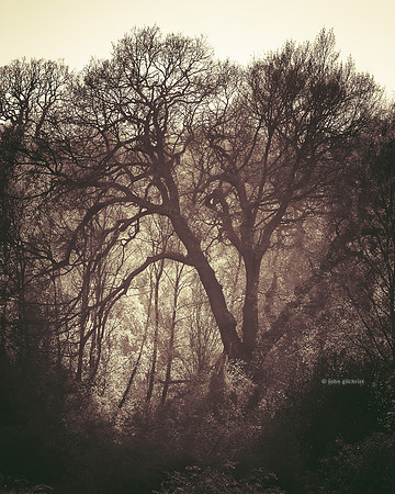 Edinburgh Photography Services, Midlothian - John Gilchrist, Mavisbank House Photo 20-0005