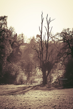 Edinburgh Photography Services, Midlothian - John Gilchrist, Mavisbank House Photo 20-0009