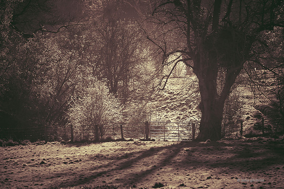 Edinburgh Photography Services, Midlothian - John Gilchrist, Mavisbank House Photo 20-0013