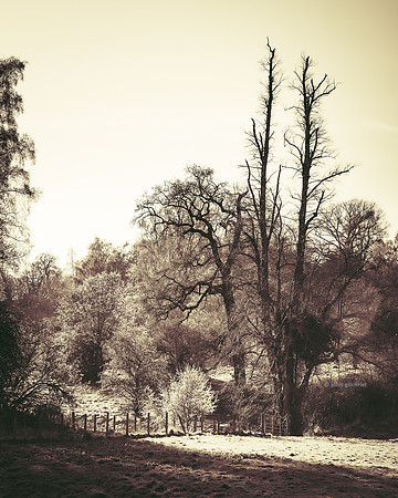 Edinburgh Photography Services, Midlothian - John Gilchrist, Mavisbank House Photo 20-0015
