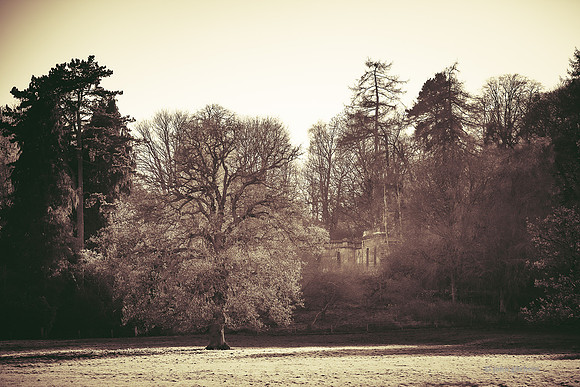 Edinburgh Photography Services, Midlothian - John Gilchrist, Mavisbank House Photo 20-0020