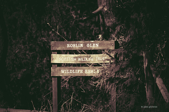 Edinburgh Photography Services, John Gilchrist, Midlothian Photos, Walks in Midlothain Photo 20-0068