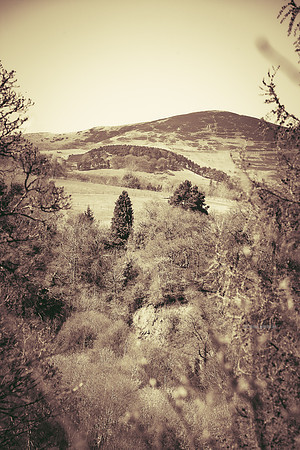 Edinburgh Photography Services, John Gilchrist, Midlothian Photos, Walks in Midlothain Photo 20-0071