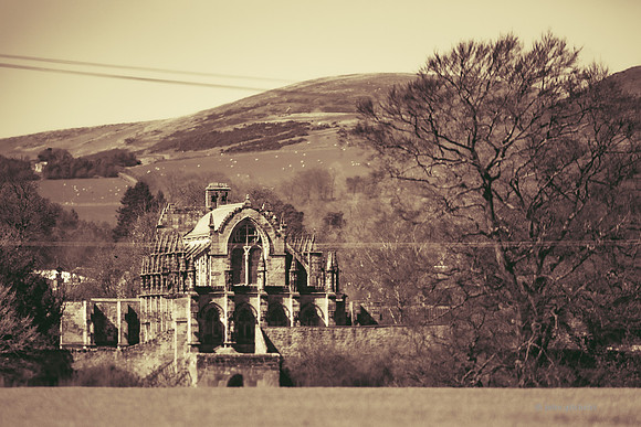 Edinburgh Photography Services, John Gilchrist, Midlothian Photos Rosslyn Chapel 0035