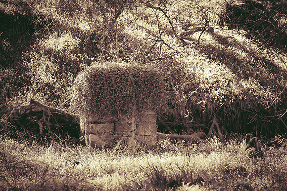 Edinburgh Photography Services, John Gilchrist, Midlothian Photos Roslin Glen Gunpowder Mills 20-0001
