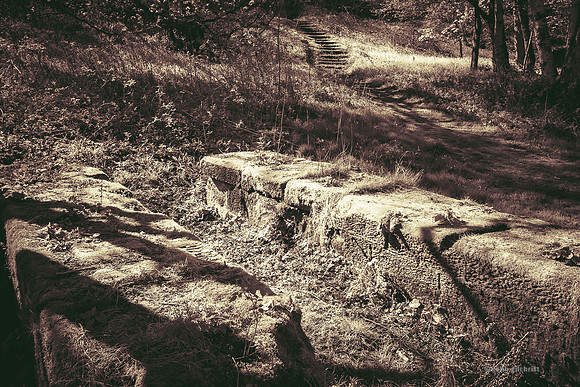 Edinburgh Photography Services, John Gilchrist, Midlothian Photos Roslin Glen Gunpowder Mills 20-0004