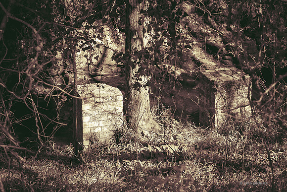 Edinburgh Photography Services, John Gilchrist, Midlothian Photos Roslin Glen Gunpowder Mills 20-0005