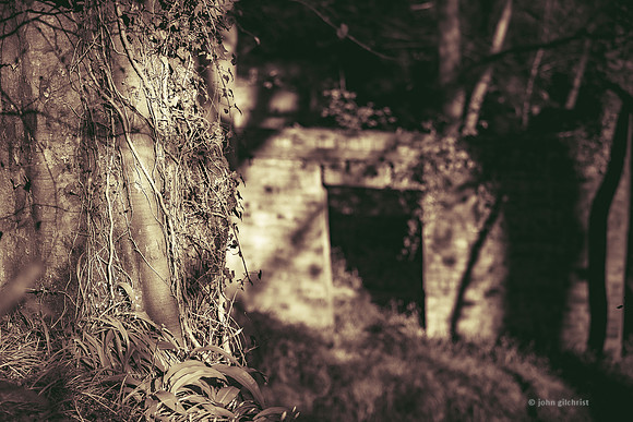 Edinburgh Photography Services, John Gilchrist, Midlothian Photos Roslin Glen Gunpowder Mills 20-0006
