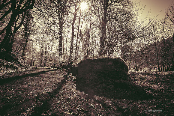 Edinburgh Photography Services, John Gilchrist, Midlothian Photos Roslin Glen Gunpowder Mills 20-0023
