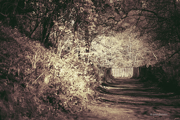 Edinburgh Photography Services, John Gilchrist, Midlothian Photos  Firth Viaduct  0001