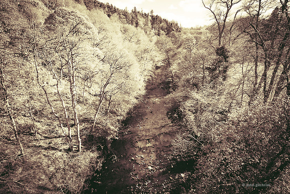Edinburgh Photography Services, John Gilchrist, Midlothian Photos, Roslin 20-0012