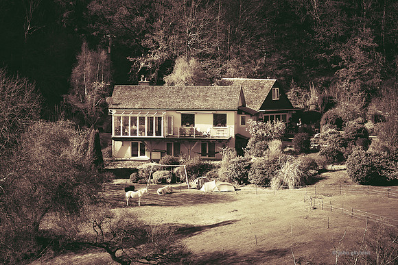 Edinburgh Photography Services, John Gilchrist, Midlothian Photos, Roslin 20-0018