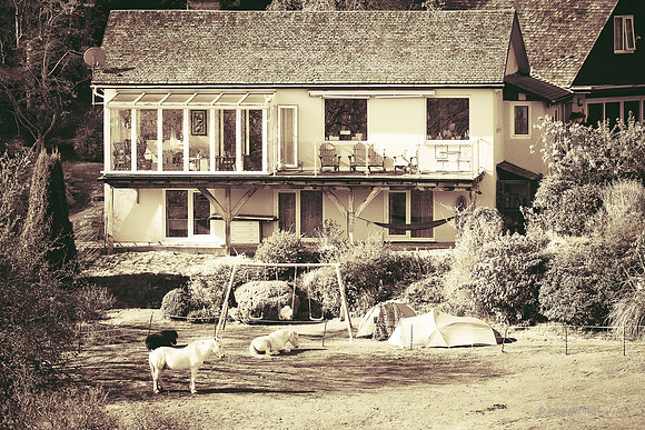 Edinburgh Photography Services, John Gilchrist, Midlothian Photos, Roslin 20-0022