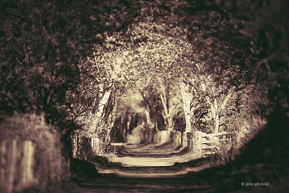 Edinburgh Photography Services, John Gilchrist, Midlothian Photos, Roslin 20-0027
