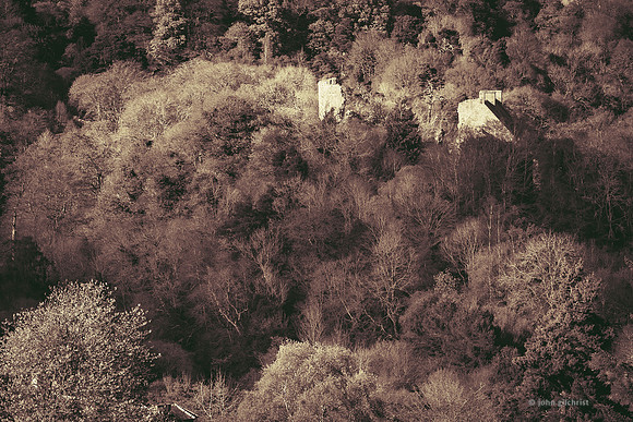 Edinburgh Photography Services, John Gilchrist, Midlothian Photos, Roslin 20-0059