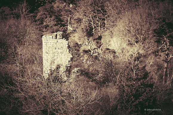 Edinburgh Photography Services, John Gilchrist, Midlothian Photos, Roslin 20-0062