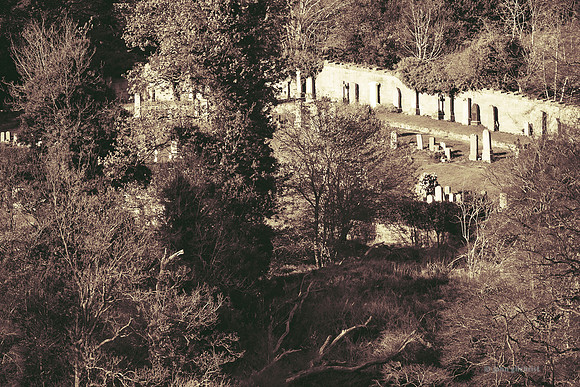 Edinburgh Photography Services, John Gilchrist, Midlothian Photos, Roslin 20-0064