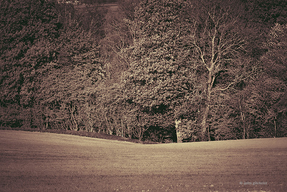 Edinburgh Photography Services, John Gilchrist, Bonnyrigg Photos 20-0177