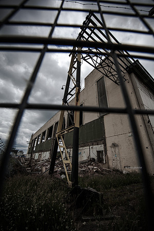 Edinburgh Photography Services: Edinburgh photographer John Gilchrist JG0226