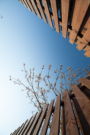JohnGilchrist is a Scottish based photography service open to clients looking for commercial photographers in Edinburgh.