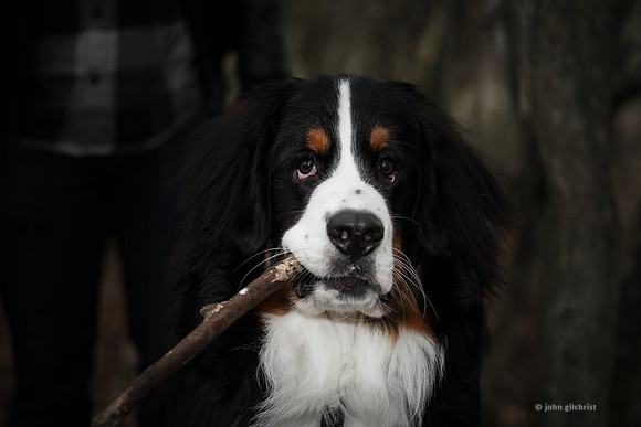 JG is an Edinburgh based photographer open to clients looking for a photography service in Scotland.