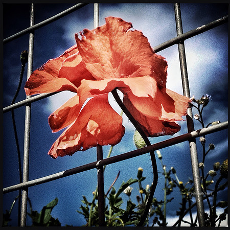 JohnGilchrist is a Scottish based photographer open to clients looking for a photography service in Edinburgh.
